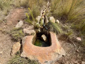 Chalet en calle Zona Sierra Espuña - Caruana, nº S/N