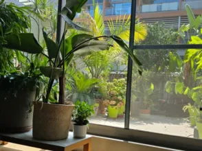 Piso en Carrer de la Creu Roja