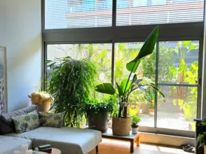 Piso en Carrer de la Creu Roja