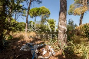Terreno en Carrer Sembrat, 25