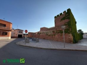 Imagen Manzanares
