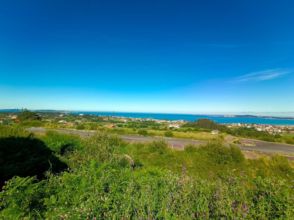 Imagen de Adina-Portonovo