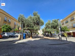 Imagen Centro