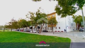 Imagen Sur
