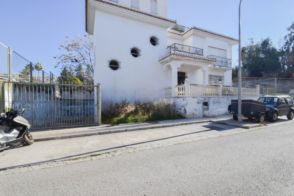Imagen Castaño - Mirasierra