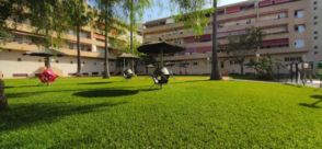 Imagen Pinar Alto-Crevillet-Menesteo
