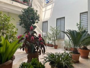 Imagen de San Lorenzo