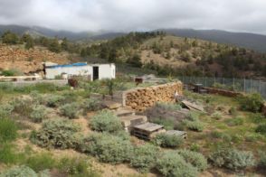 Imagen Arico (Pueblo)