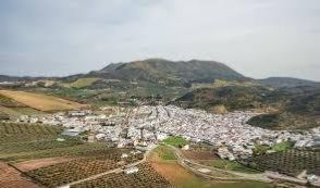 Imagen Pruna