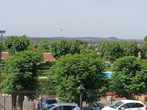 Imagen El Pedroso 