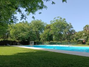 Imagen Sevilla Este
