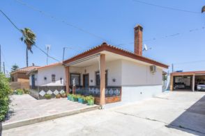 Imagen Coria del Río