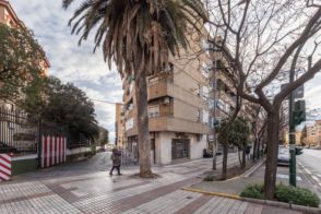 Imagen Angustias - Chana - Encina