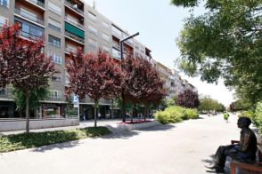 Imagen Centro - Sagrario