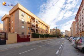 Imagen Angustias - Chana - Encina