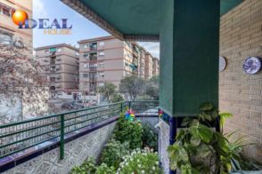 Imagen Angustias - Chana - Encina