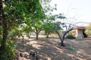 Imagen Villanueva del Ariscal