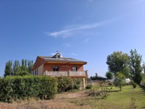 Imagen Grisén