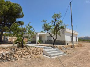 Imagen Algueña