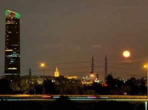 Imagen de Camas