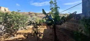 Imagen Tincer-Barranco Grande-Sobradillo