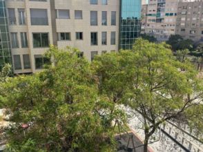 Imagen Plaza Crevillente - Juzgados