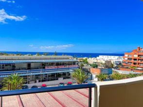Imagen Palm-Mar