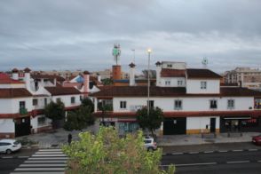 Imagen Olivos Borrachos