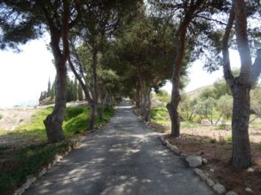 Imagen Montnegre