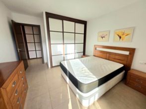 Imagen Palm-Mar