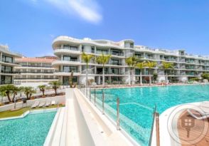 Imagen Palm-Mar
