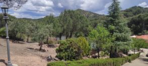 Imagen Las Jaras