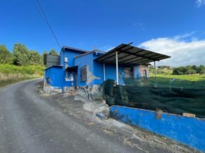 Imagen de Grado