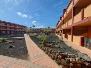 Imagen Parque Holandés