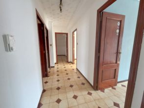 Imagen de Saladar