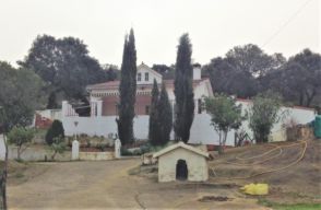 Imagen Plasencia
