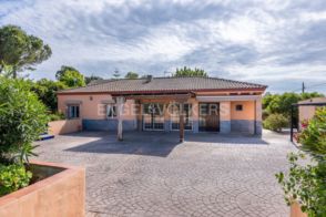 Imagen Mairena del Alcor