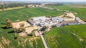 Imagen Alcalá de Guadaíra