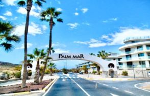 Imagen Palm-Mar