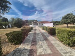 Imagen Carretera de Olivenza