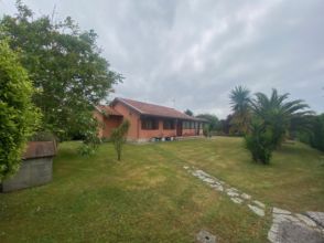 Imagen Somió