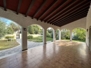 Imagen Orihuela