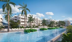 Imagen Palm-Mar