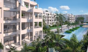Imagen Palm-Mar