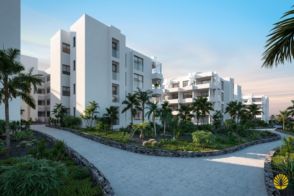 Imagen Palm-Mar