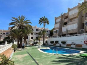 Imagen de Nueva Torrevieja, Aguas nuevas