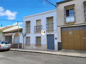 Imagen Lora de Estepa