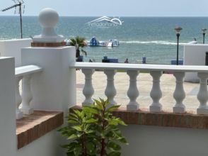 Imagen Sector Palmito