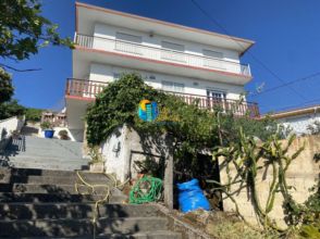 Imagen Goiáns