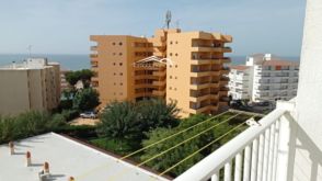 Imagen Sector Malvasia
